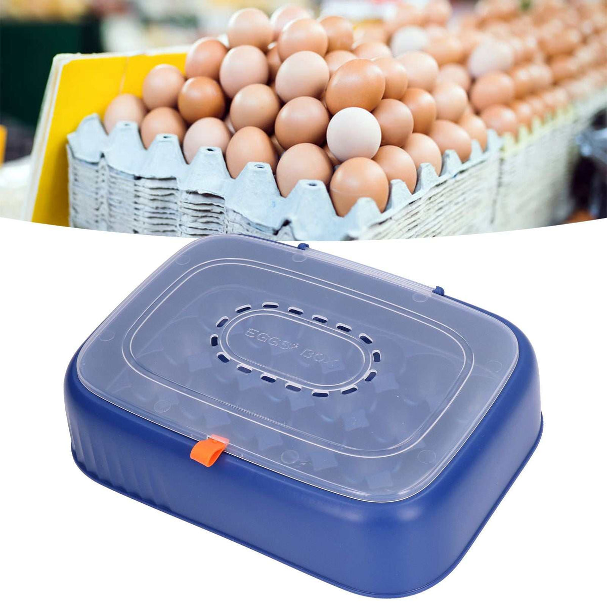 Egg storage box, 24 Eggs Containers, with a dark blue ABS base, clear ventilated lid and orange latch