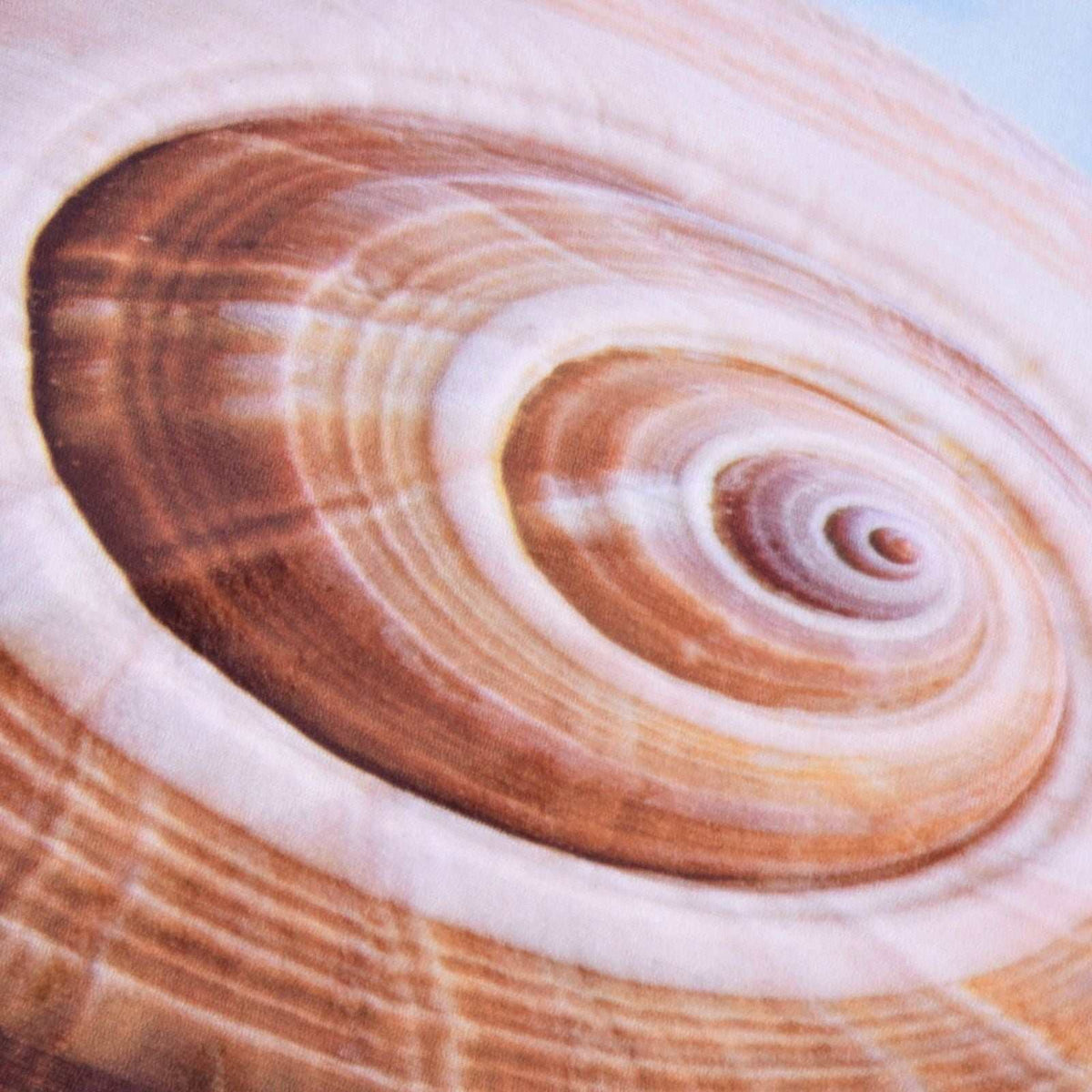 3D Pattern Doormat in soft flannel with a realistic brown, cream and tan spiral shell pattern and plush texture