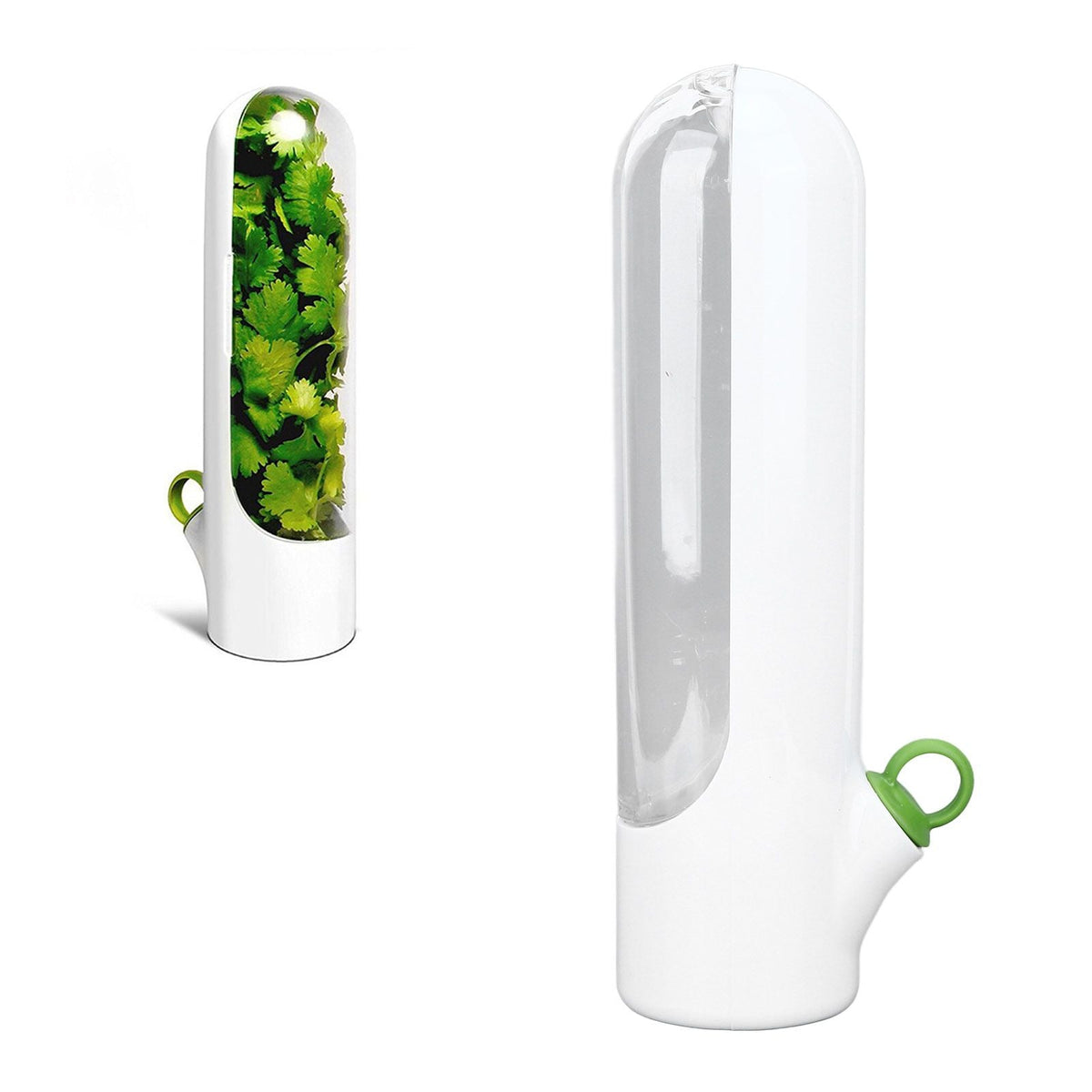 Herb Keeper Herb Storage Container in white plastic with a clear window, green loop handle, and fresh leafy herbs inside