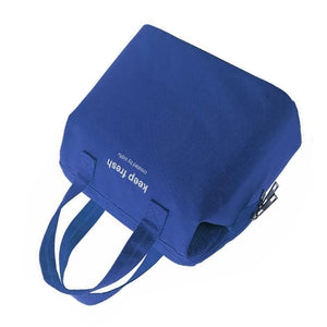 Insulated Lunch Bag in royal blue Oxford cloth with matching double handles and a visible metal zipper