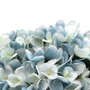 Premium Faux Hydrangea with densely packed pale blue and white petals, featuring delicate green centers and softly shaded edges